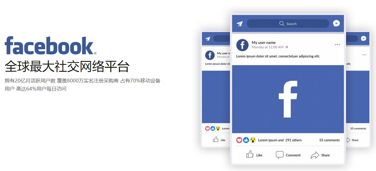 蚌埠海外社交媒体营销  第1张